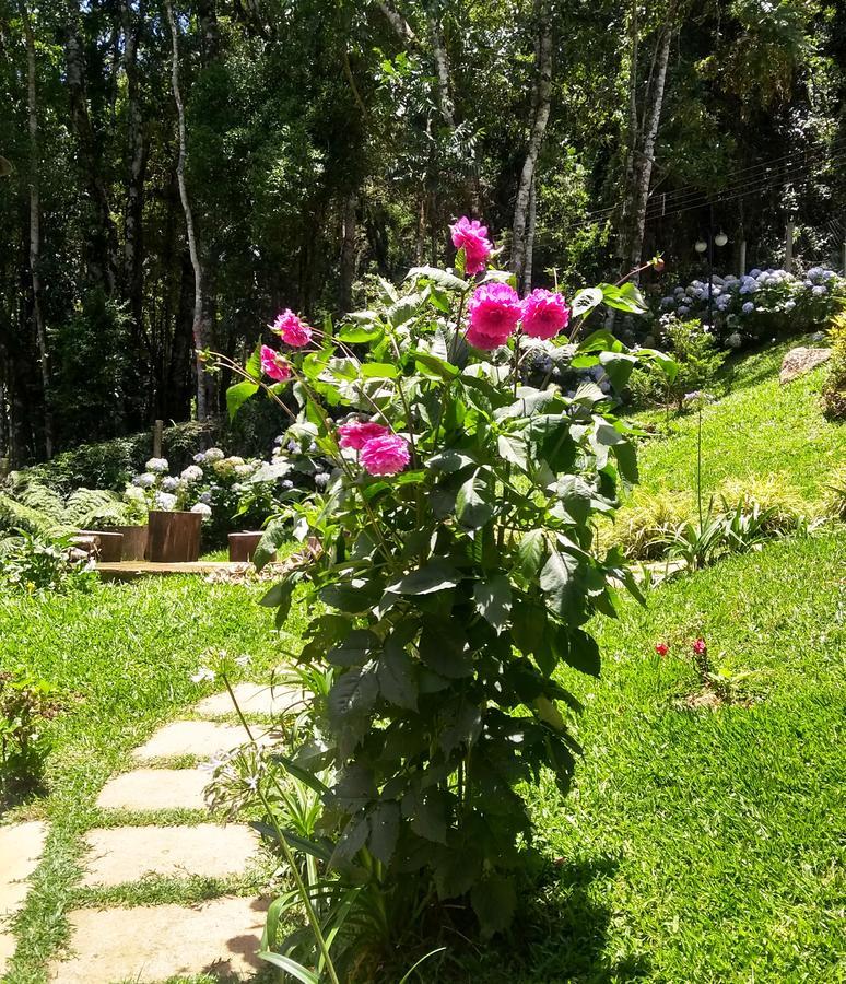 Nas Nuvens Hospedaria Monte Verde  Dış mekan fotoğraf